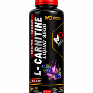 Mighty Dynamo L-Carnitine - 450 ml - Blueberry